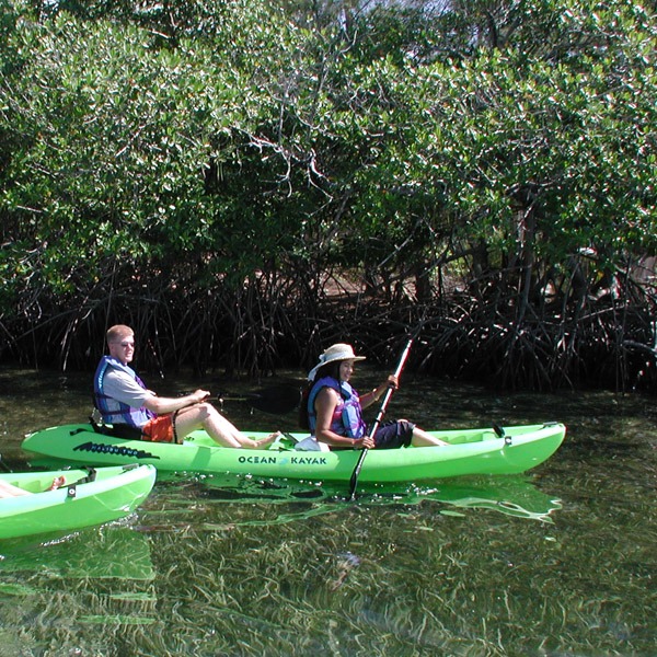 Kayaks