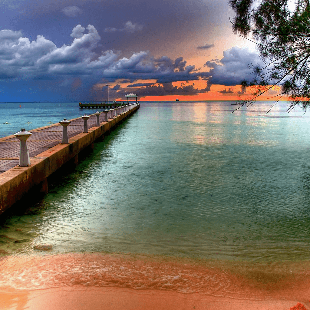Dock