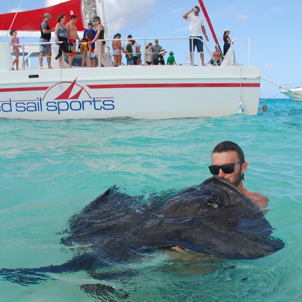 Stingray